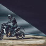 Husqvarna Svartpilen 801 - 2