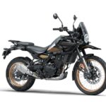 Royal Enfield Himalayan - 7