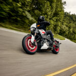 Indian FTR Sport - 2