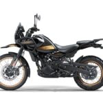 Royal Enfield Himalayan - 6