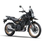 Royal Enfield Himalayan - 3